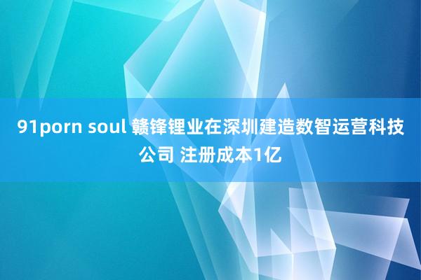 91porn soul 赣锋锂业在深圳建造数智运营科技公司 注册成本1亿