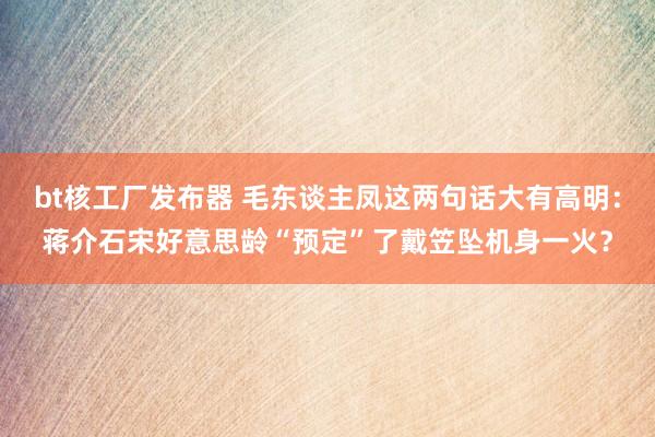 bt核工厂发布器 毛东谈主凤这两句话大有高明：蒋介石宋好意思龄“预定”了戴笠坠机身一火？