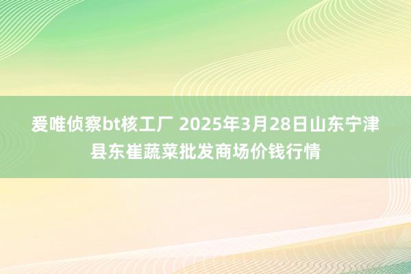 爰唯侦察bt核工厂 2025年3月28日山东宁津县东崔蔬菜批发商场价钱行情