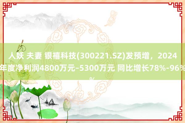 人妖 夫妻 银禧科技(300221.SZ)发预增，2024年度净利润4800万元–5300万元 同比增长78%-96%