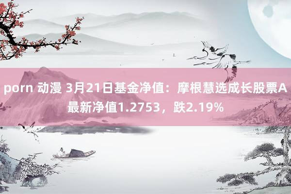 porn 动漫 3月21日基金净值：摩根慧选成长股票A最新净值1.2753，跌2.19%