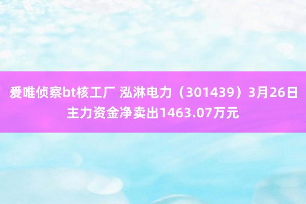 爰唯侦察bt核工厂 泓淋电力（301439）3月26日主力资金净卖出1463.07万元